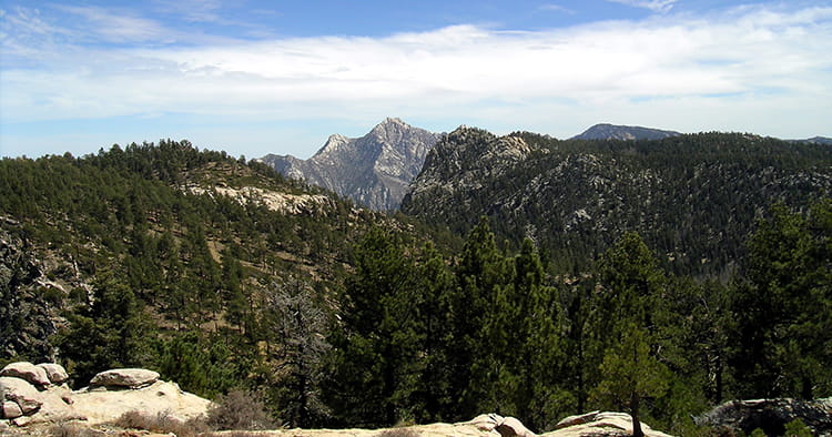 Parque Nacional Sierra San Pedro Mártir